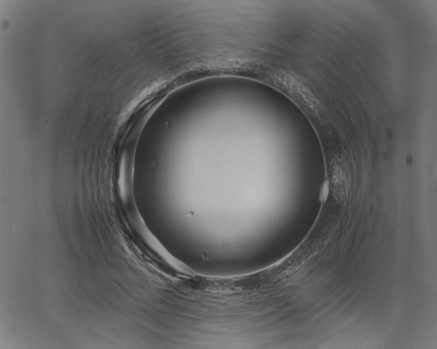 X0000067480684200604071139