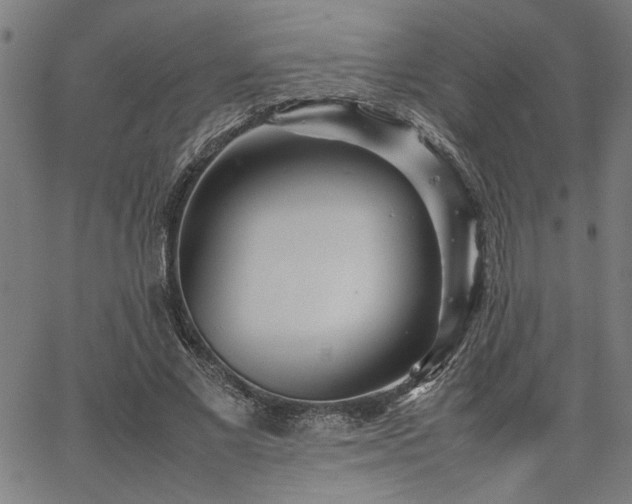 X0000067480685200604071139