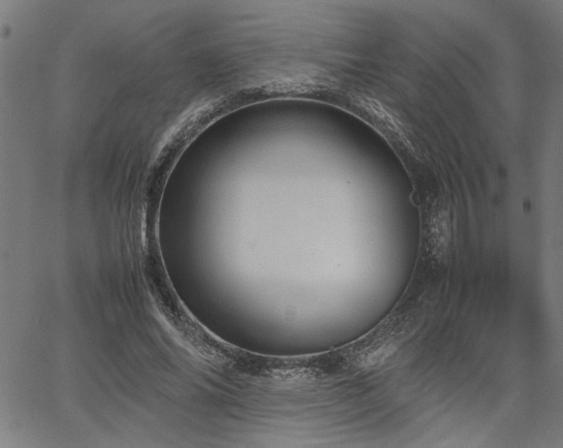 X0000067480686200604071139