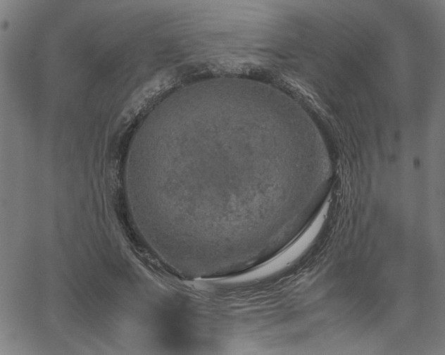 X0000067480687200604071139