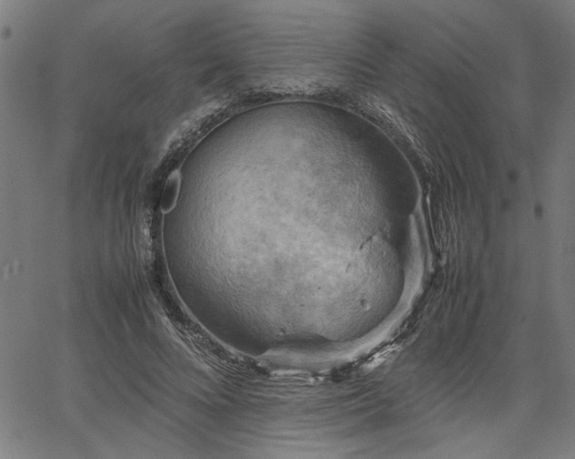 X0000067480688200604071139