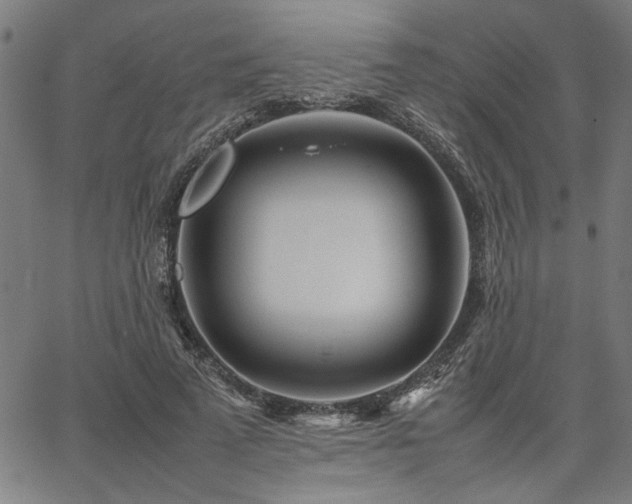 X0000067480689200604071139