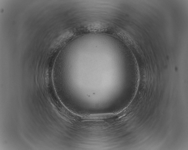 X0000067480690200604071139