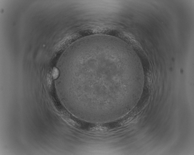 X0000067480691200604071139