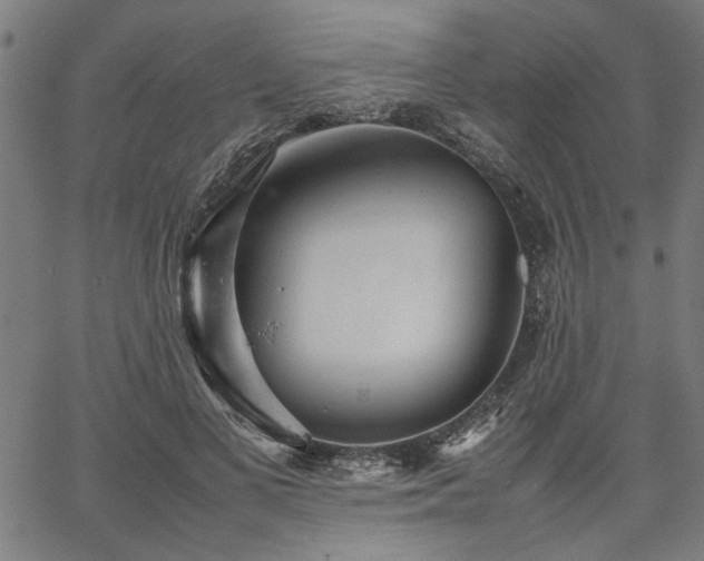 X0000067480693200604071139