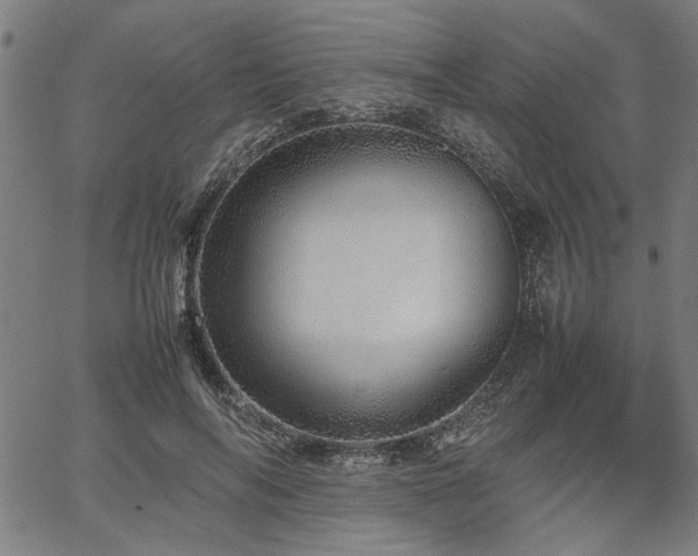 X0000067480694200604071139