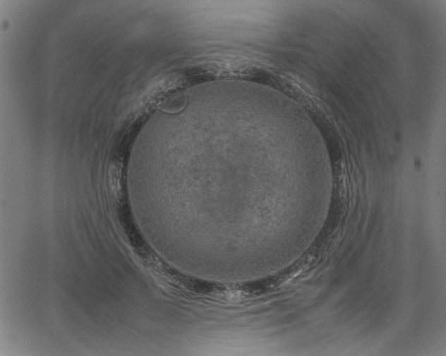 X0000067480695200604071139