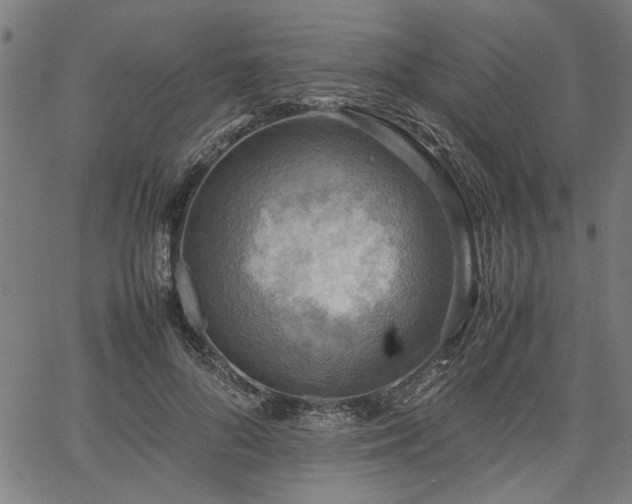 X0000067480696200604071139