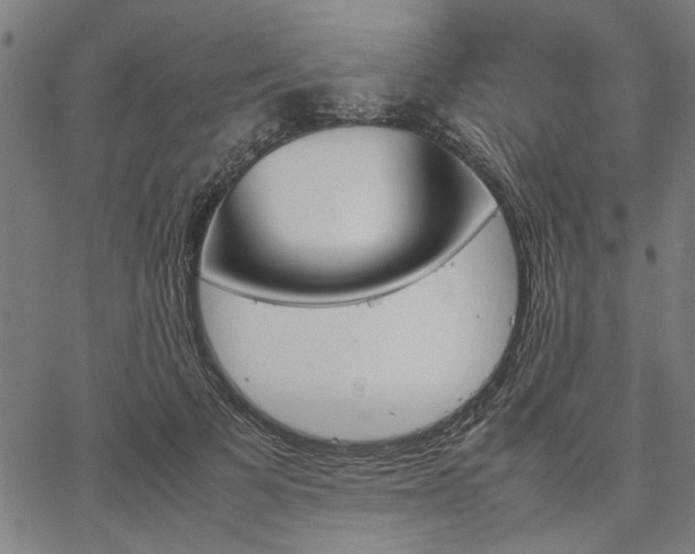 X0000067480697200604071139