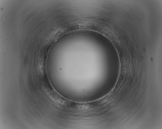 X0000067480698200604071139