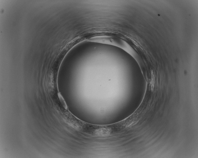 X0000067480700200604071139