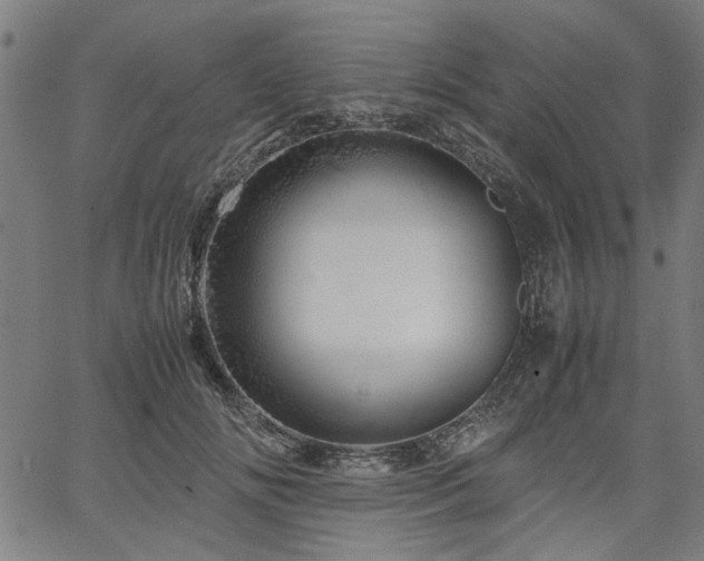 X0000067480702200604071139