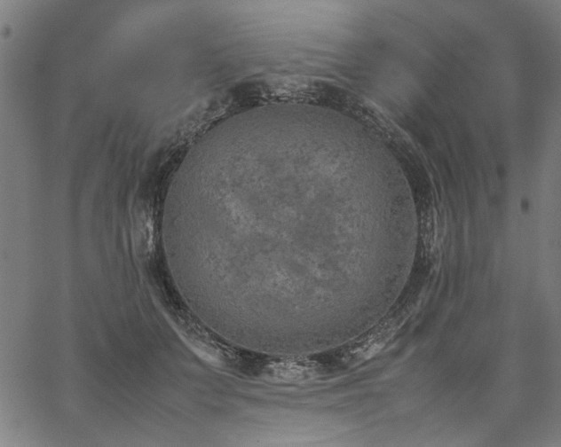 X0000067480703200604071139