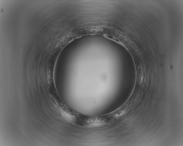 X0000067480704200604071139