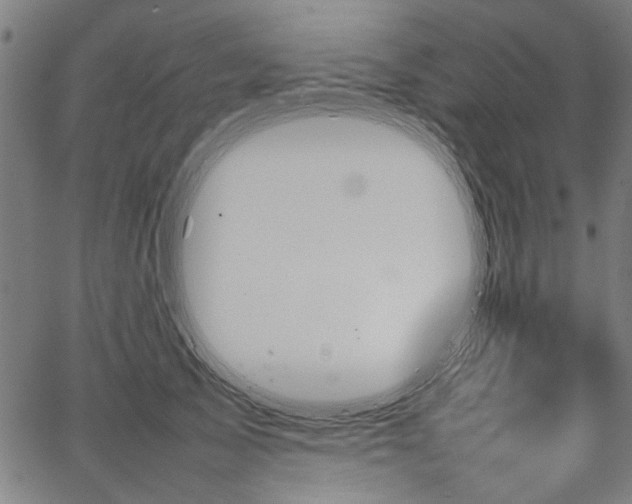 X0000067480705200604071139