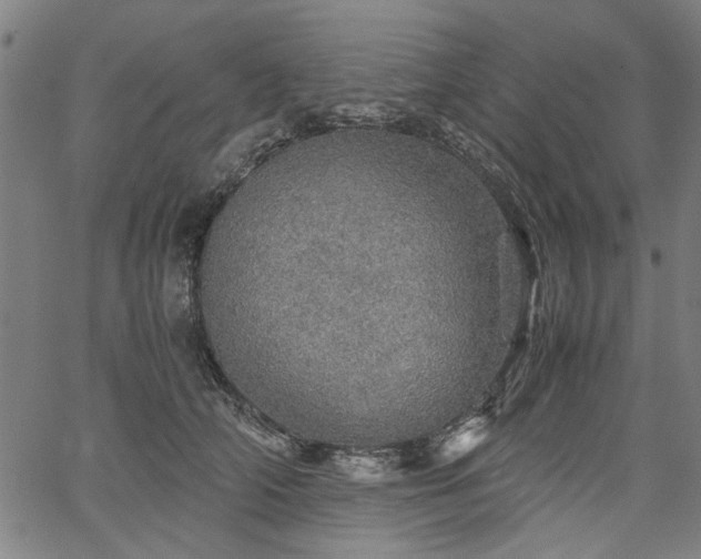 X0000067480706200604071139