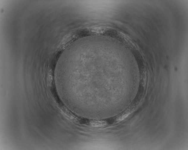 X0000067480707200604071139