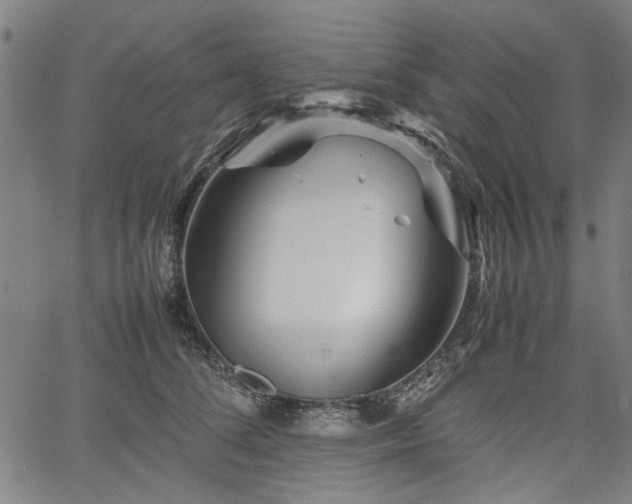 X0000067480708200604071139