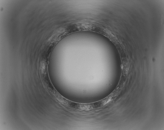 X0000067480709200604071139