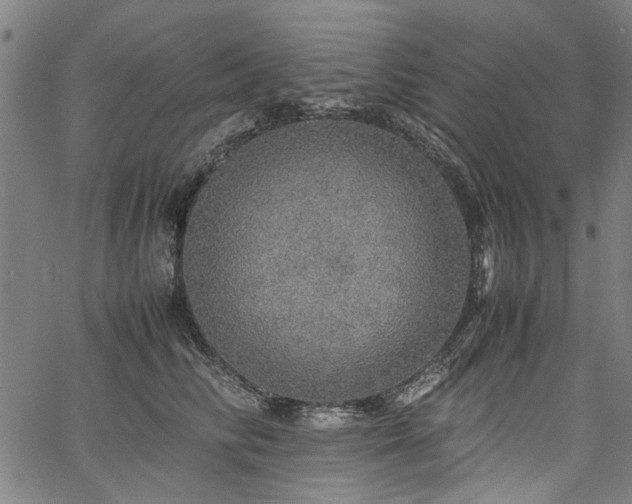 X0000067480710200604071139