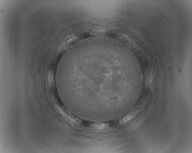 X0000067480711200604071139