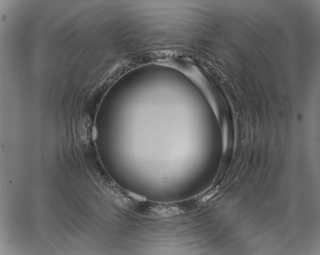 X0000067480712200604071139