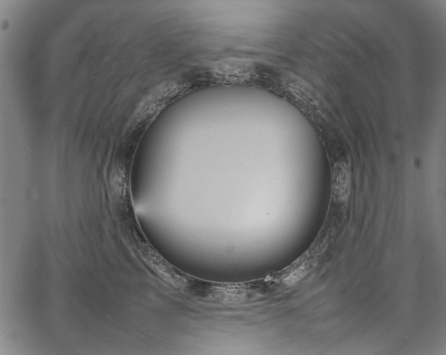 X0000067480713200604071139