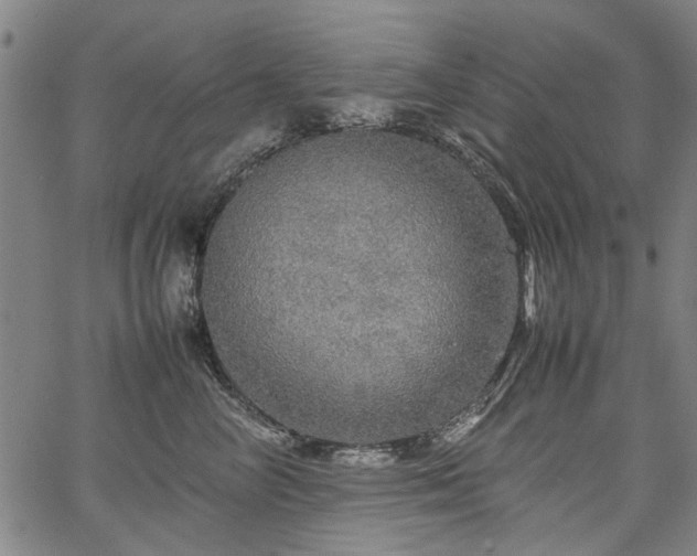 X0000067480714200604071139