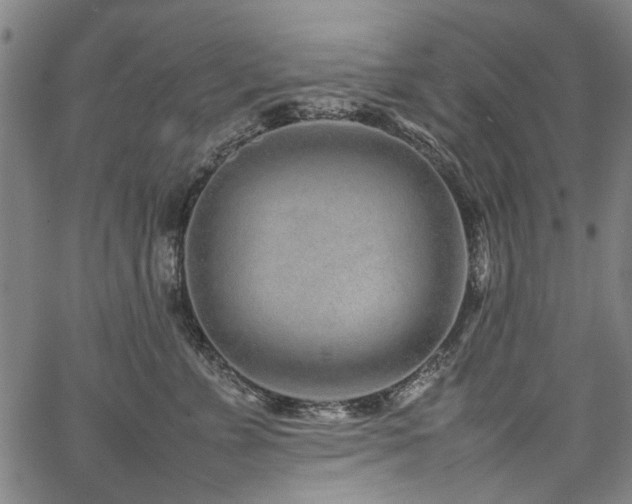 X0000067480715200604071139