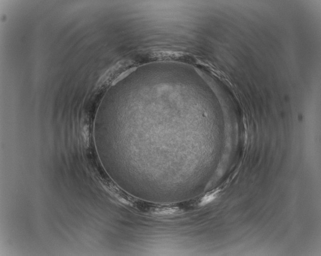 X0000067480716200604071139