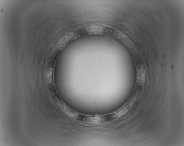 X0000067480717200604071139