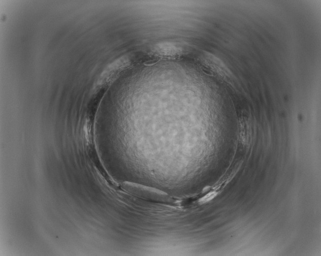 X0000067480718200604071139