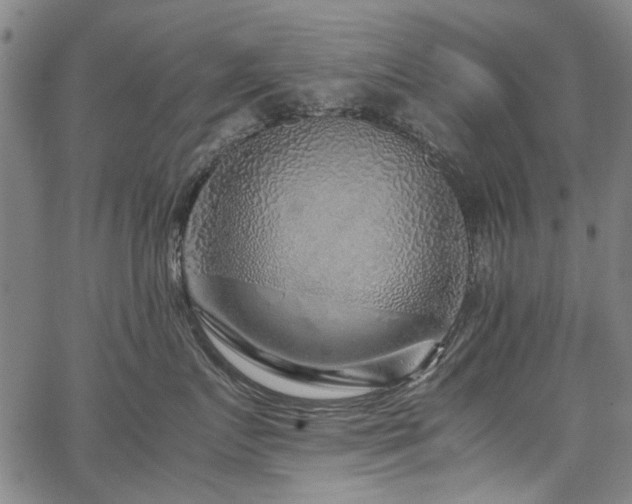 X0000067480719200604071139