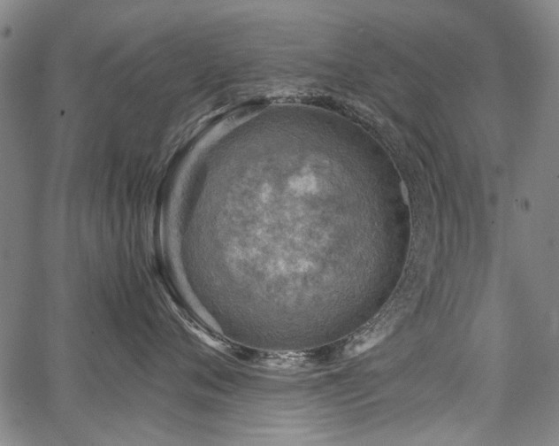 X0000067480720200604071139