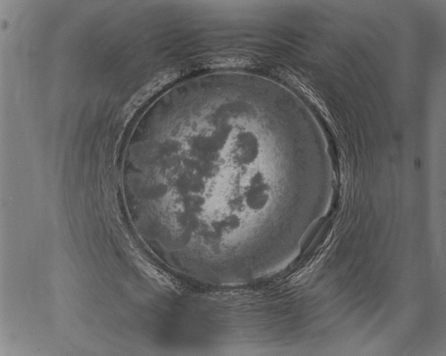 X0000067480721200604071138