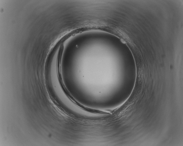 X0000067480722200604071138