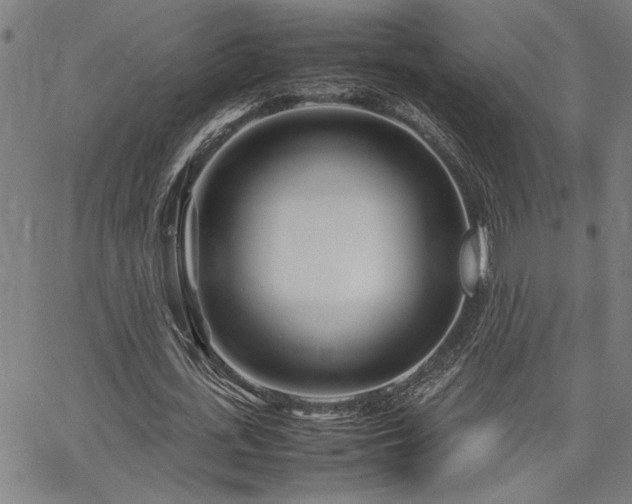 X0000067480723200604071138