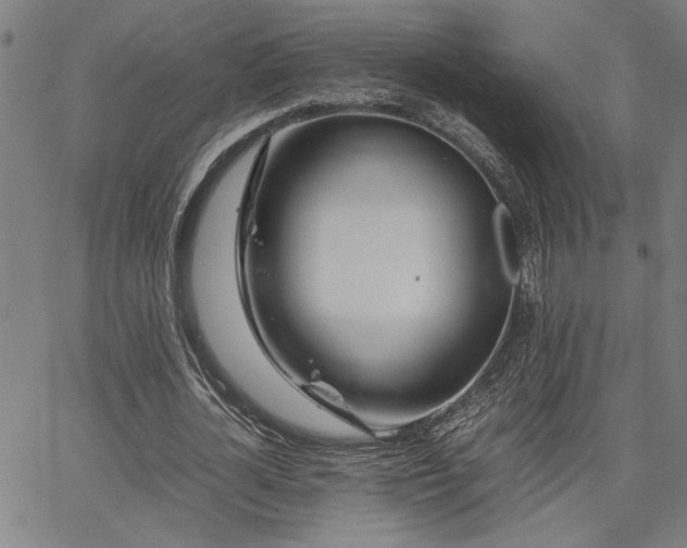 X0000067480724200604071138