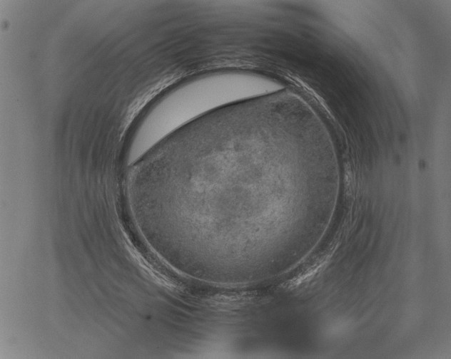 X0000067480725200604071138