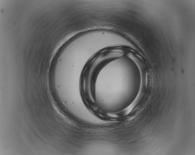 X0000067480726200604071138