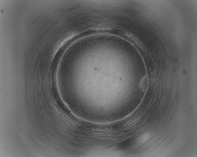 X0000067480727200604071138