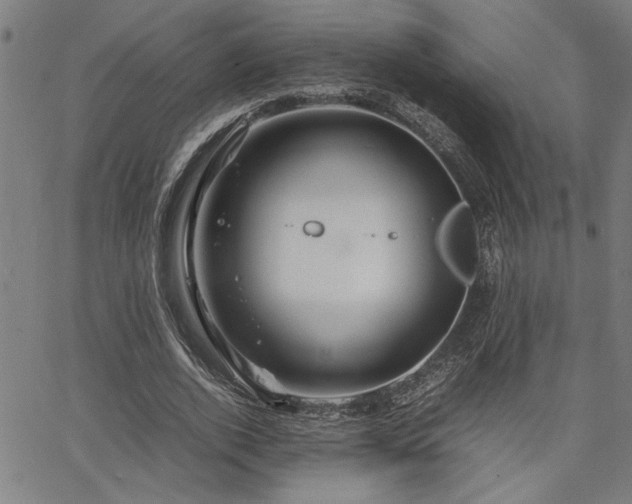 X0000067480728200604071138