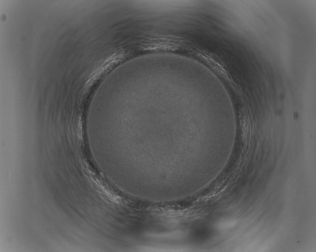 X0000067480729200604071138