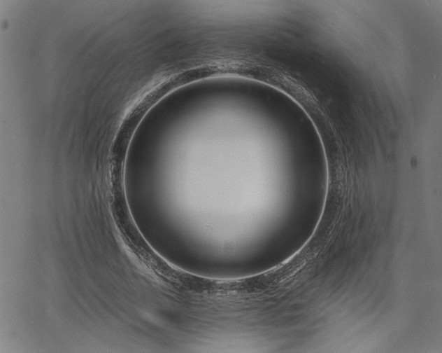 X0000067480730200604071138