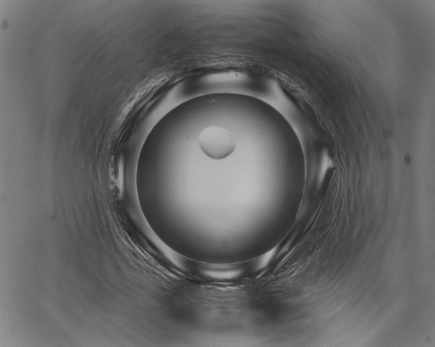 X0000067480731200604071138