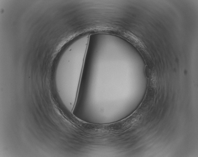 X0000067480732200604071138