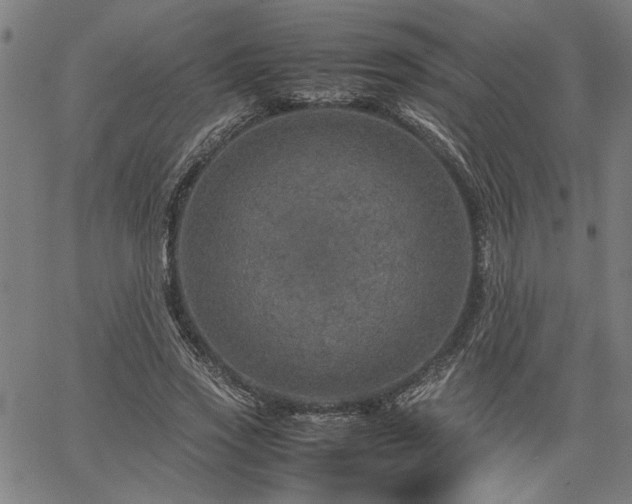 X0000067480733200604071138