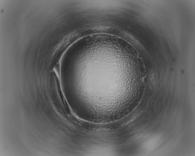 X0000067480734200604071138