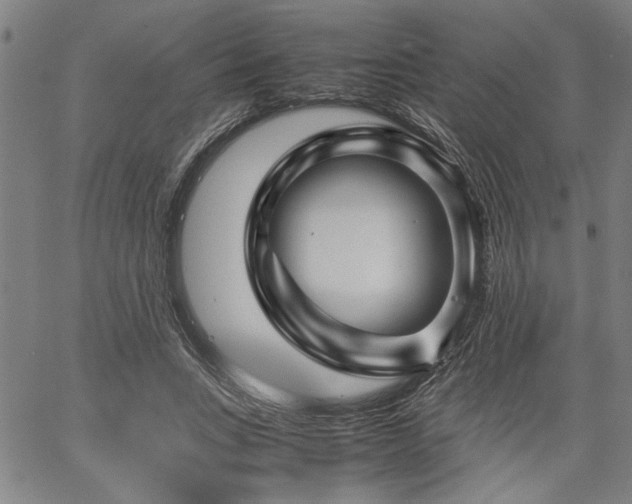 X0000067480735200604071138