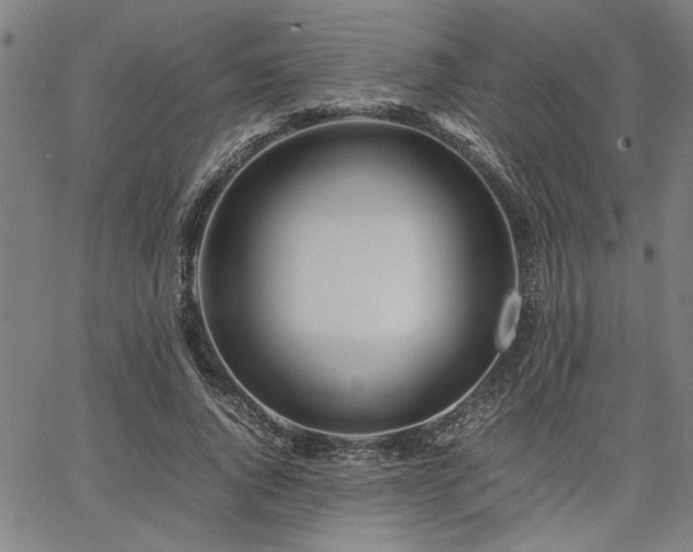 X0000067480736200604071138